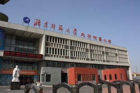 北京师范大学大兴附属小学