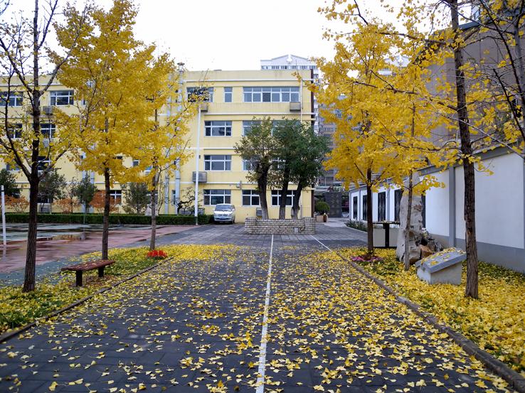 首都师范大学第二附属中学