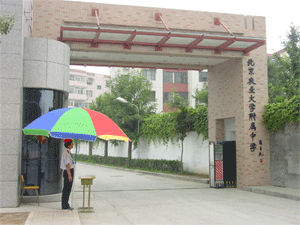 中国农业大学附属中学