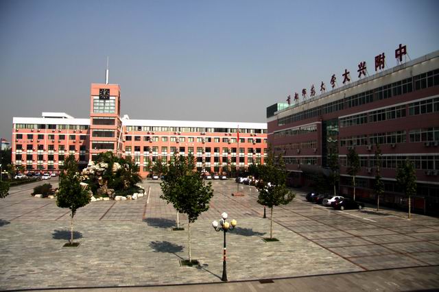 首都师范大学大兴附属中学 